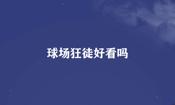 球场狂徒好看吗