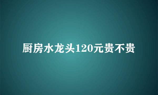 厨房水龙头120元贵不贵