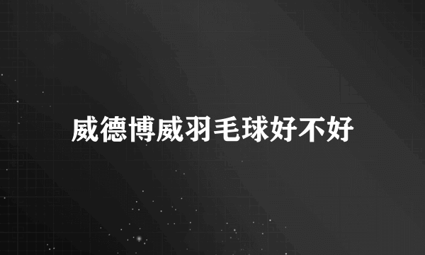 威德博威羽毛球好不好