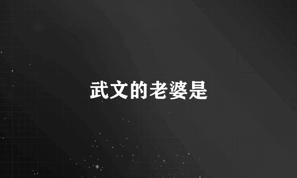 武文的老婆是