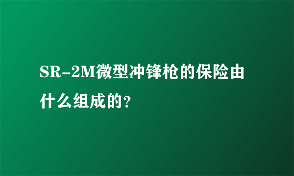 SR-2M微型冲锋枪的保险由什么组成的？