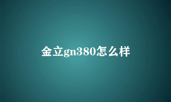 金立gn380怎么样