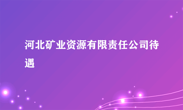 河北矿业资源有限责任公司待遇