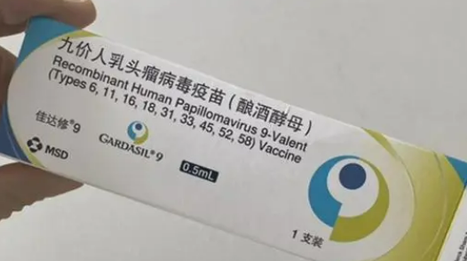 打九价是什么意思