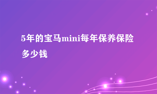 5年的宝马mini每年保养保险多少钱