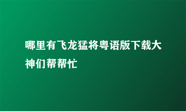 哪里有飞龙猛将粤语版下载大神们帮帮忙