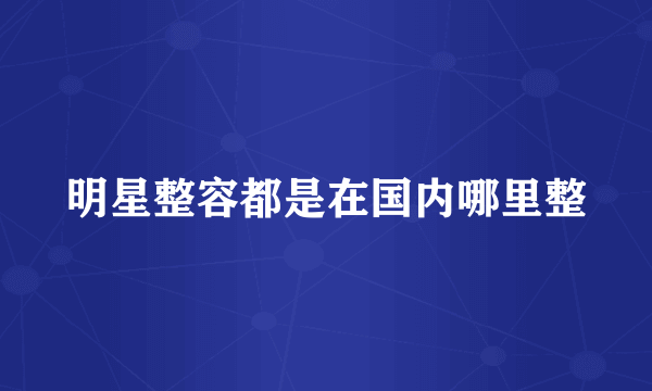 明星整容都是在国内哪里整