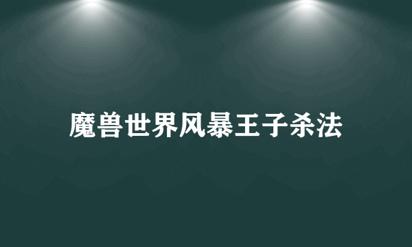 魔兽世界风暴王子杀法