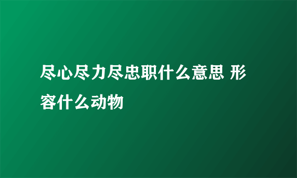 尽心尽力尽忠职什么意思 形容什么动物
