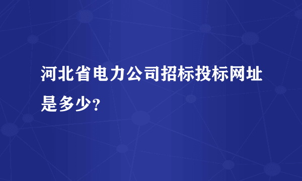 河北省电力公司招标投标网址是多少？