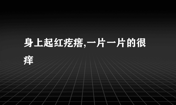 身上起红疙瘩,一片一片的很痒
