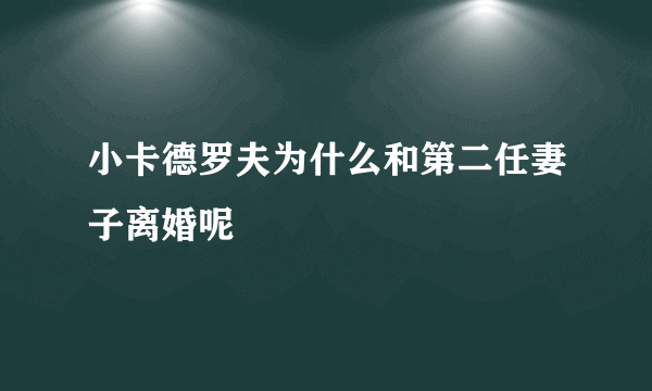 小卡德罗夫为什么和第二任妻子离婚呢