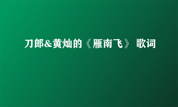 刀郎&黄灿的《雁南飞》 歌词