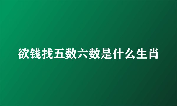 欲钱找五数六数是什么生肖