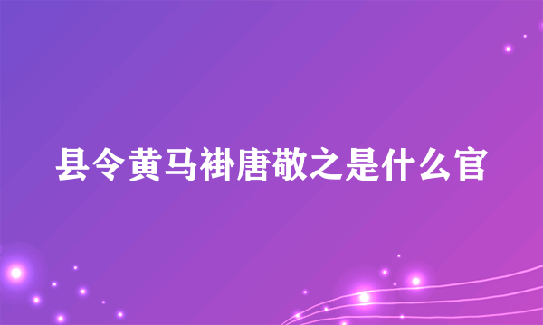 县令黄马褂唐敬之是什么官
