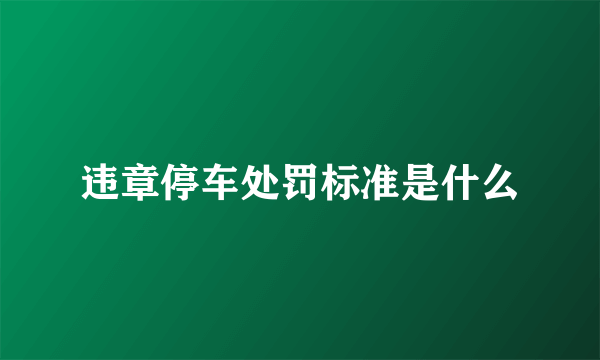 违章停车处罚标准是什么
