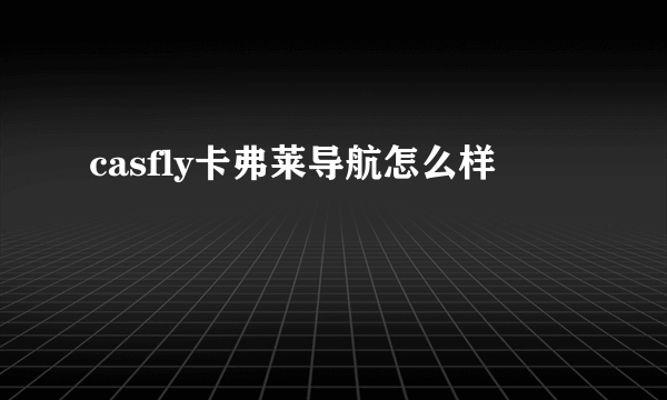 casfly卡弗莱导航怎么样