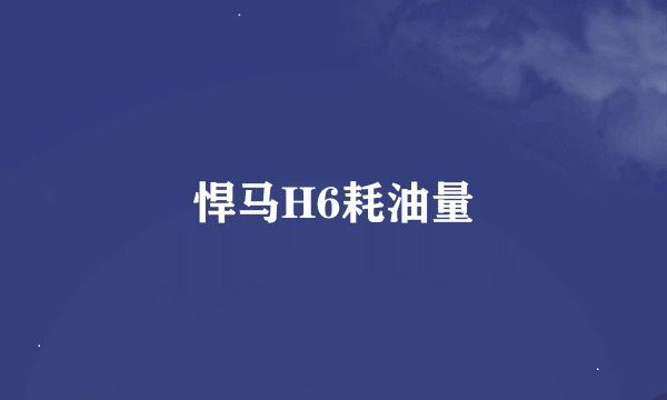 悍马H6耗油量