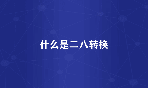 什么是二八转换