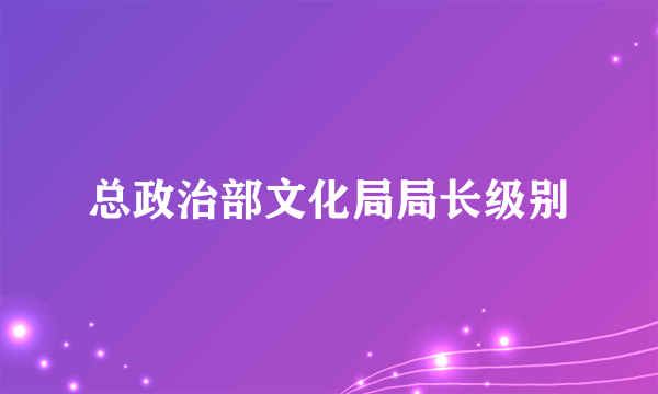 总政治部文化局局长级别