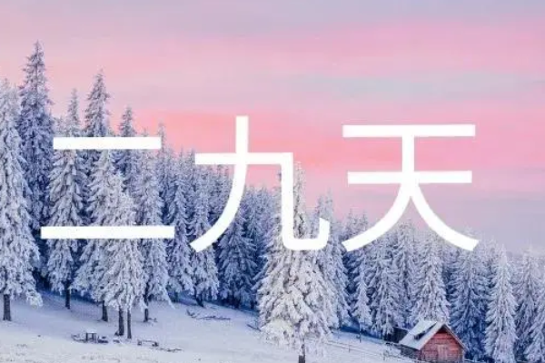 二九天是什么日子
