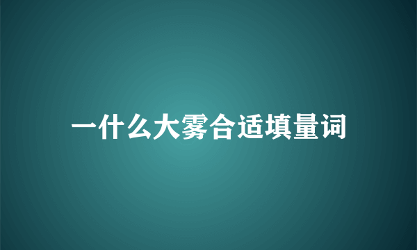 一什么大雾合适填量词