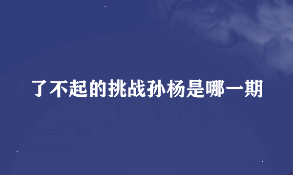 了不起的挑战孙杨是哪一期