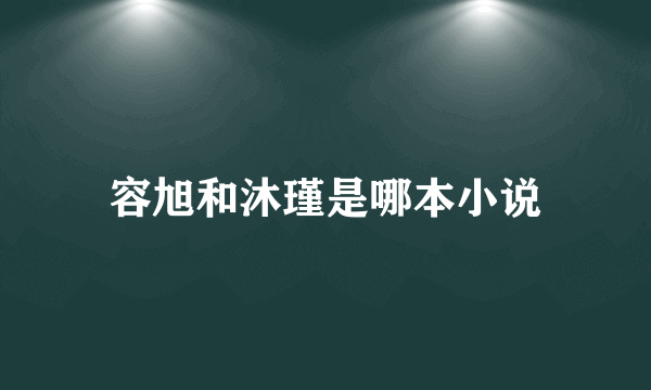 容旭和沐瑾是哪本小说