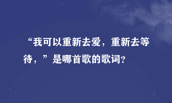 “我可以重新去爱，重新去等待，”是哪首歌的歌词？
