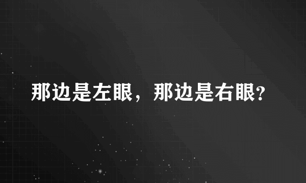 那边是左眼，那边是右眼？