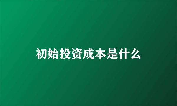 初始投资成本是什么