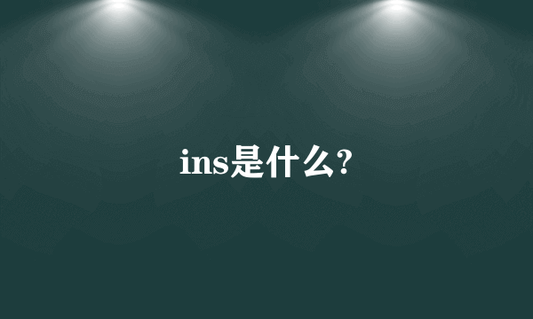 ins是什么?