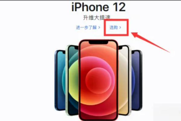 苹果怎么预约