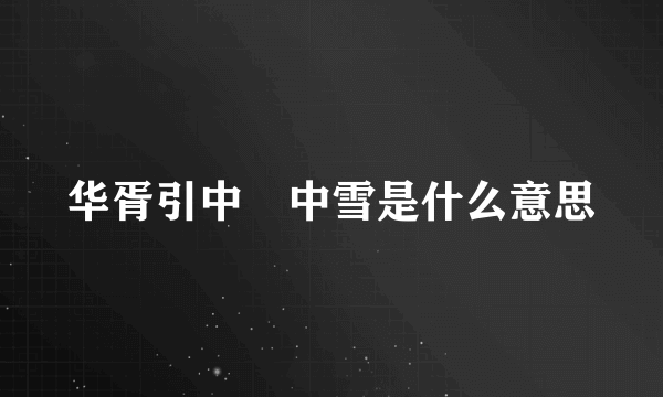 华胥引中柸中雪是什么意思