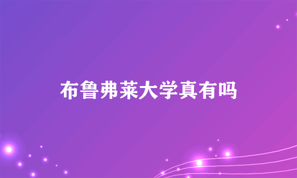 布鲁弗莱大学真有吗