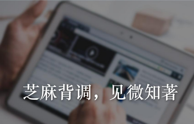 芝麻背调如何调查的