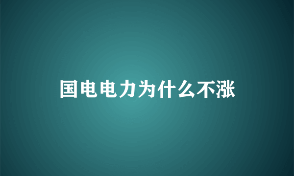 国电电力为什么不涨
