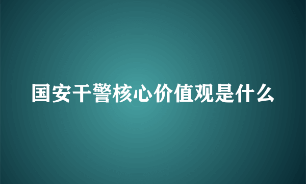 国安干警核心价值观是什么