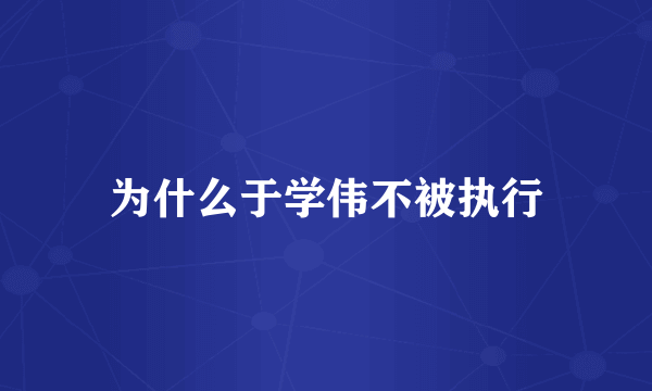 为什么于学伟不被执行