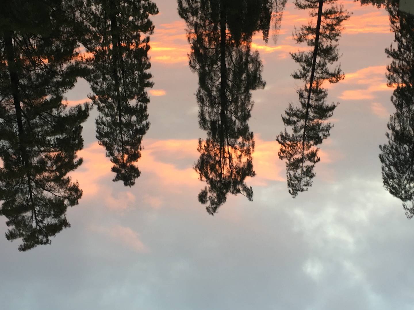 校园是个什么样的地方