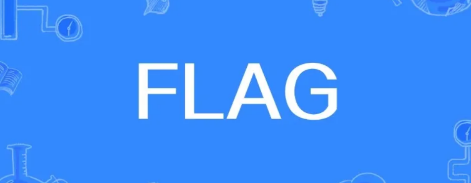 flags是什么意思