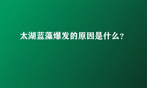 太湖蓝藻爆发的原因是什么？