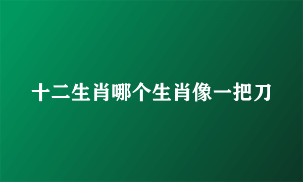十二生肖哪个生肖像一把刀
