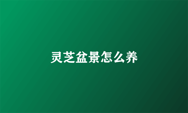 灵芝盆景怎么养