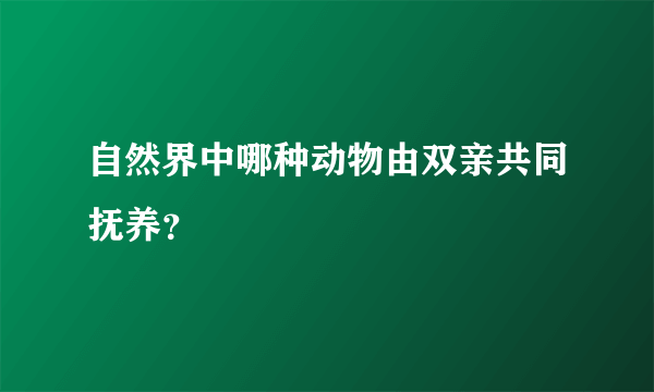 自然界中哪种动物由双亲共同抚养？
