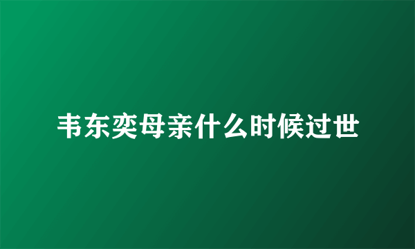 韦东奕母亲什么时候过世