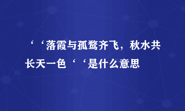 ‘‘落霞与孤鹜齐飞，秋水共长天一色‘‘是什么意思