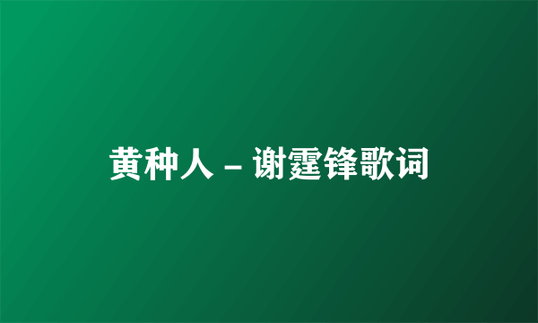 黄种人－谢霆锋歌词