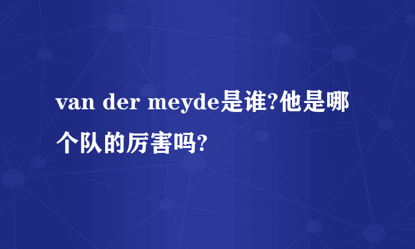 van der meyde是谁?他是哪个队的厉害吗?