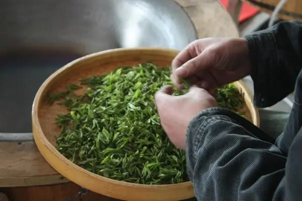 潮汕茶叶有哪些名茶